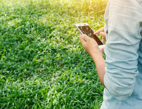 6 apps to take care of the environment