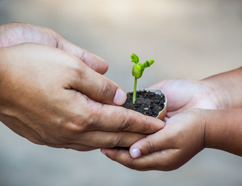 How to create environmental awareness in our children